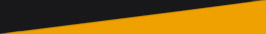 Black/Gold